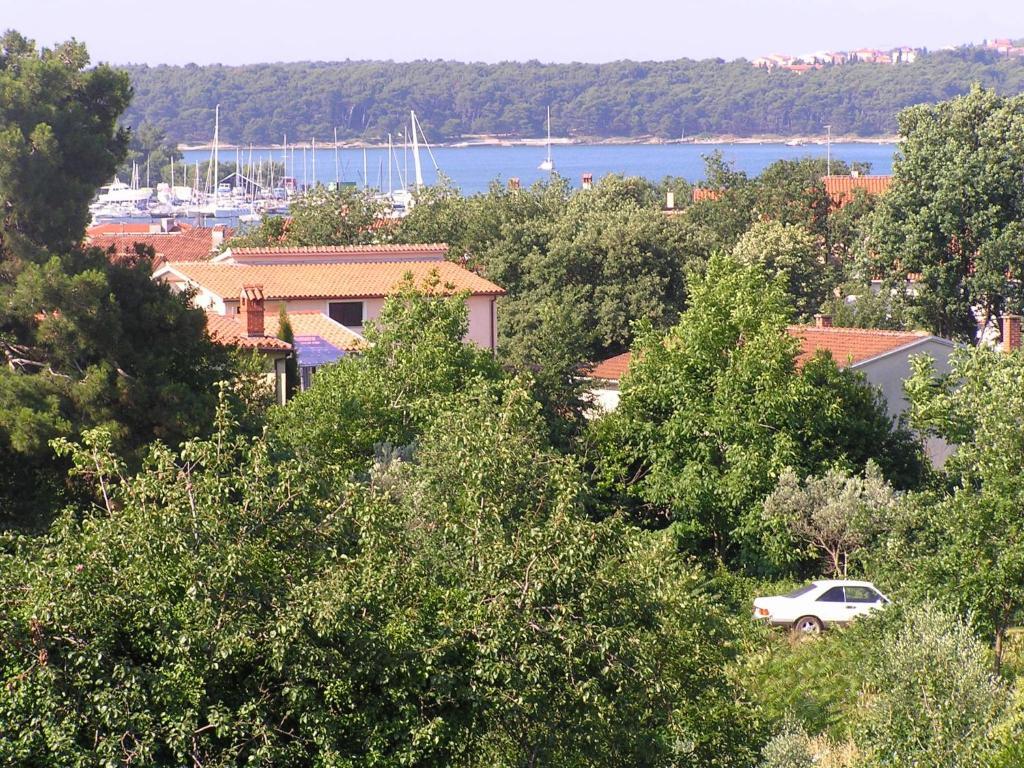 Apartments Paloma Blanca ميدولين الغرفة الصورة