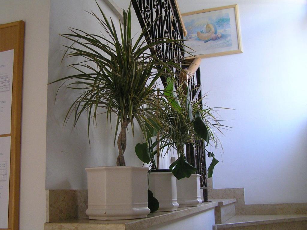 Apartments Paloma Blanca ميدولين الغرفة الصورة