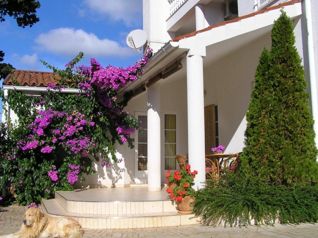 Apartments Paloma Blanca ميدولين الغرفة الصورة